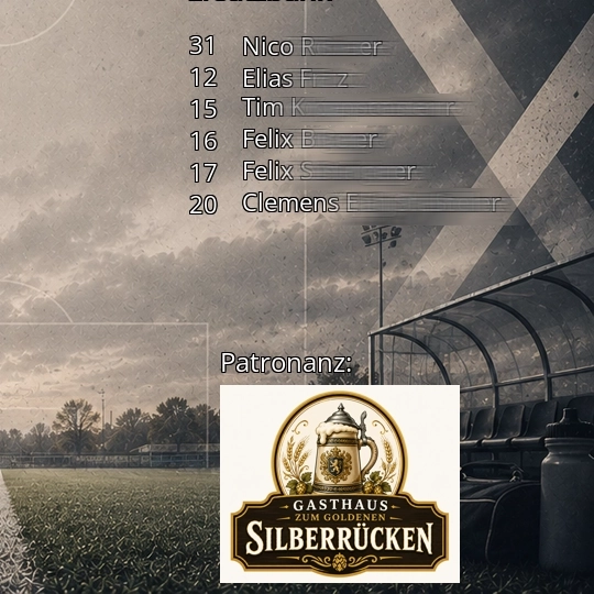 MatchFox-Grafik mit Patronanz